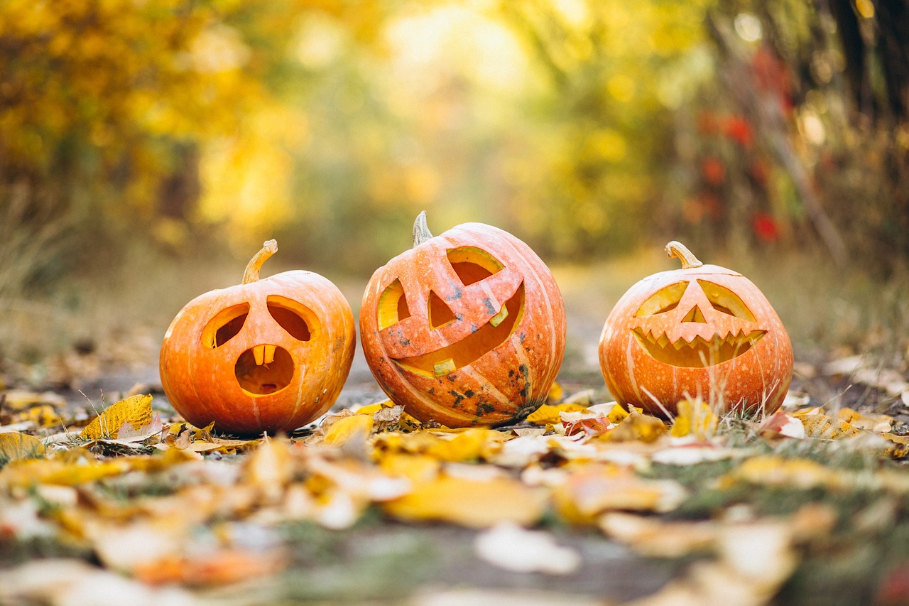 Samhain oder Halloween? - Tina Wiegand - soulfit.de - pixabay - gadgemayur